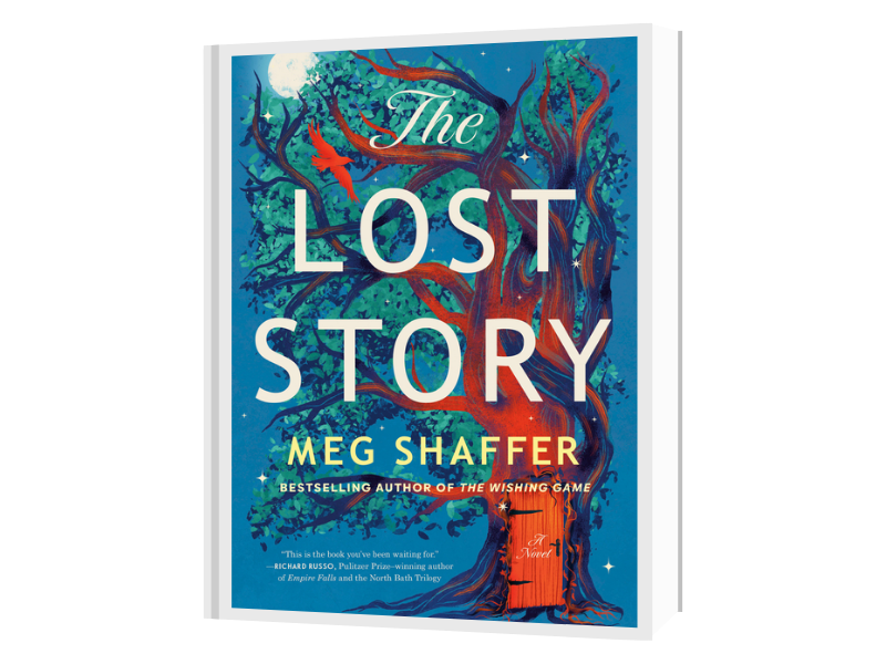 The Lost Story book cover