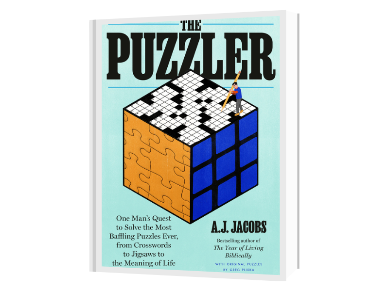 The Puzzler book cover